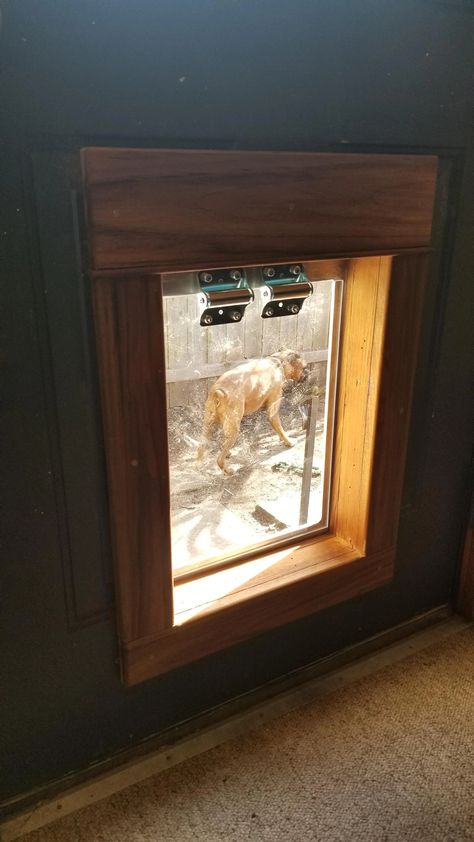 Dog door that I made out of teak and an indestructible dog door flap. I made it identicle to the trim in my house. Besides the crown. - Imgur Diy Dog Door In Door, Diy Dog Door Flap, Diy Dog Door In Wall, Doggie Door Ideas Large Dogs, Diy Doggy Door, Diy Dog House Door Flap, Dog Door Diy, Dog Door Ideas In Wall, Doggie Door Ideas