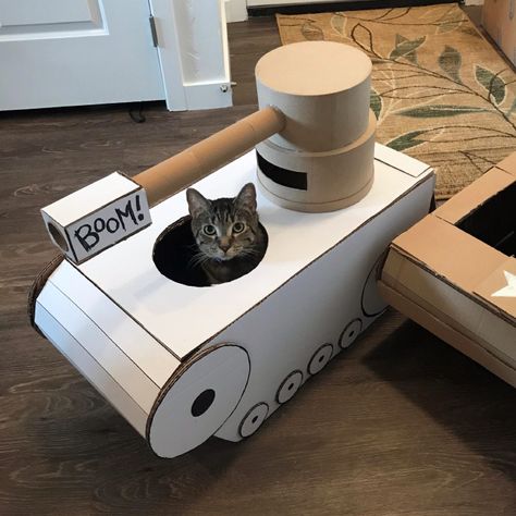 Cats In Cardboard Tanks Diy Cat Toys, Cat Tanks, Cat Crafts, Custom Cat, Funny Cat Pictures, Cat Diy, Cat Sitting, Cat Care, Cat Furniture