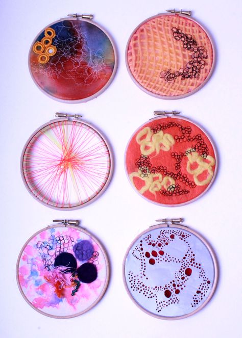 A2 Textiles Exam Microbes Illustration, Bacteria Textiles, Cells Project, A Level Textiles, Growth And Decay, Petri Dishes, Biology Art, Textiles Projects, Art Textiles