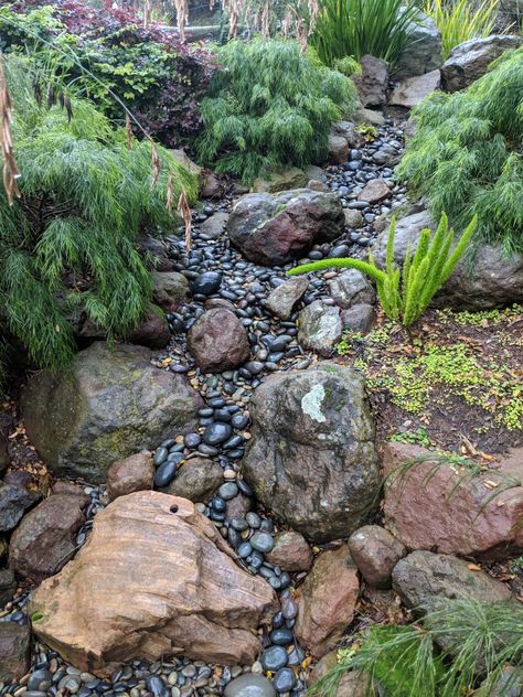 Dry Stream, Dry River Bed, Rock Creek Bed, Dry Creek Bed For Drainage Rain Garden, Dry Creek Bed Landscape, Fake River Bed Dry Creek, Dry Creek Bed With Pond, Stone River Garden Dry Creek Bed, Dry Riverbed Landscaping