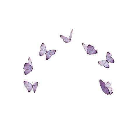 Lilac Butterfly Aesthetic, Violet Butterfly Aesthetic, Purple Aesthetic Butterfly Wallpaper, Purple Flowers Aesthetic Drawing, Purple Butterflies Aesthetic, Butterfly Purple Aesthetic, Purple Butterfly Drawing, Purple Flower Icon, Purple Butterfly Icon