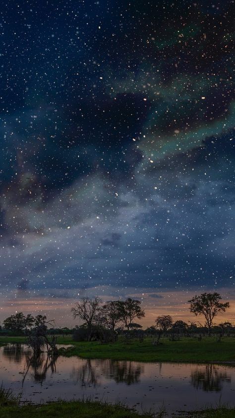 Starry night sky over swamp, Okavango Delta, Botswana, Limpopo, South Africa Africa Moodboard, Starry Night Sky Wallpaper, South Africa Nature, Okavango Delta Botswana, Africa Nature, African Skies, African Plains, Darkest Night, Night Sky Photography