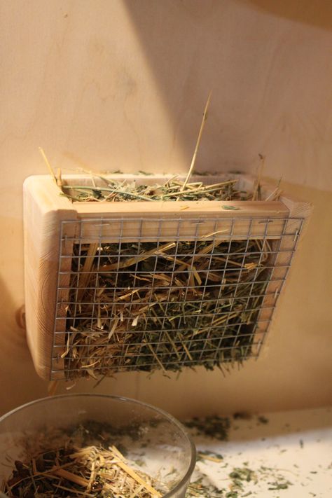 hay holder Pig Room Ideas, Rabbit Shed Ideas, Hay Holder, Rabbit Shed, Guinea Pig Cage Ideas, Rabbit Enclosure, Rabbit Hay, Chinchilla Pet, Agriculture Projects