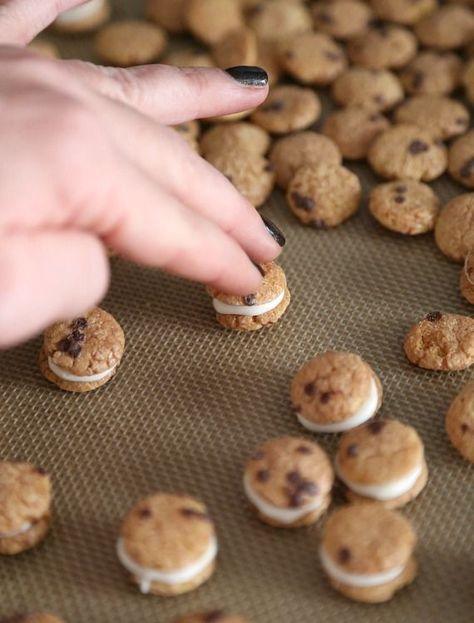 Cookies and Milk Snack Mix ~ A simple Snack Mix made with Cookie Crisp Cereal sandwiched together with white chocolate! Poppable, cute and simple! Cookie Crisp Cereal, Cookies And Cups, Cookie Crisp, Cookies And Milk, Cookie Snack, Sale Ideas, Milk And Cookies, Dark Chocolate Cakes, Milk N Cookies