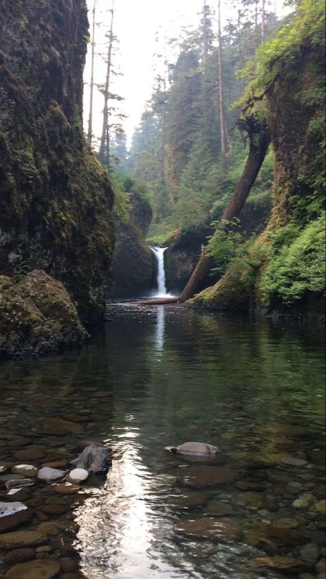 Camera Dslr, Beautiful Landscape Photography, Image Nature, Waterfall Hikes, Landscape Photography Nature, Columbia River Gorge, Columbia River, Alam Yang Indah, Nature Aesthetic