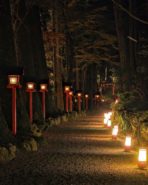 Shrine Aesthetic, Shrine Wallpaper, Japanese Shrines, Japan Traditional, Kifune Shrine, Shrine Maiden Aesthetic, Japanese Shrine Aesthetic, Japan Culture Aesthetic, Japanese Temple Aesthetic