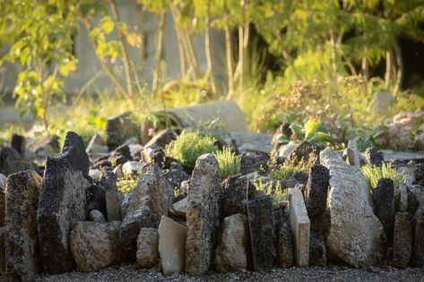 Still Alive by Wagon — Landscape Architecture Platform | Landezine Meadow Flowers, Romantic Garden, Still Alive, The Meadows, Contemporary Landscape, Rock Garden, Landscape Architecture, Open Space, Ecology