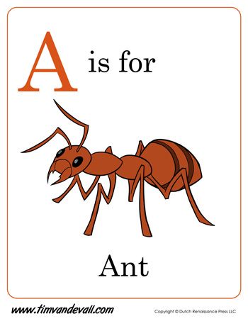 A is for Ant A For Ant, A Is For Ant, Alphabet Word Wall Cards, Letter Coloring Pages, Preschool Alphabet Printables, Alphabet Word Wall, Coloring Pages For Preschool, Apple Letters, English Flashcards