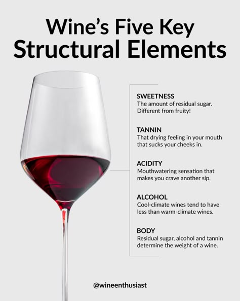 Wine For Beginners, Wine Tasting At Home, Wine Etiquette, Wine Basics, Wine Chart, Wine Facts, Fruity Wine, Sweet Red Wines, Wine Knowledge