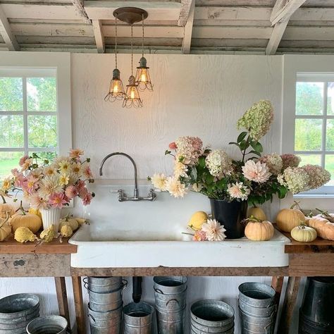 Floret Flowers, Vintage Sink, Flower Room, Cut Flower Garden, Flower Studio, Floral Studio, Potting Shed, Flower Farm, Garden Shed