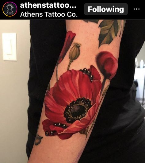 Realistic Poppy Tattoo, Large Poppy Tattoo, Poppy Tattoo Sleeve, Simple Poppy Tattoo, Poppy Tattoo Meaning, Red Poppy Tattoo, Poppy Tattoos, California Poppy Tattoo, Black Flowers Tattoo