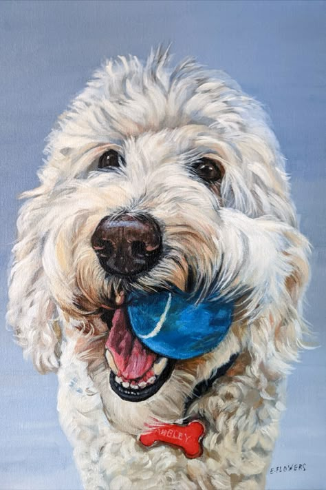 Custom pet portraits. This is Langley, the labradoodle. Acrylic on canvas. Labradoodle Painting Acrylic, Labradoodle Painting, Labradoodle Drawing, White Labradoodle, Labradoodle Art, Painting Dogs, Portraits Painting, Dog Watercolor Painting, Buffalo Art