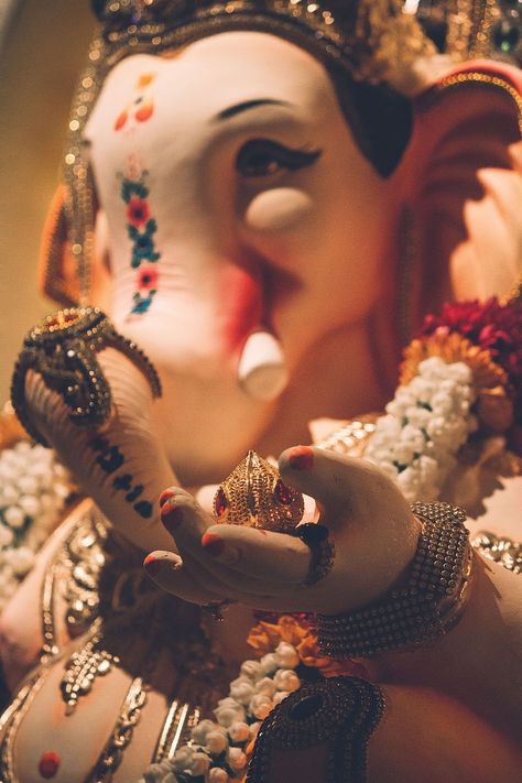 Ganpati Bappa Images, Bappa Images, शुभ शुक्रवार, Tag Quotes, Om Gam Ganapataye Namaha, Ganpati Photo Hd, Photos Of Ganesha, Ganesh Ji Images, Ganpati Bappa Wallpapers