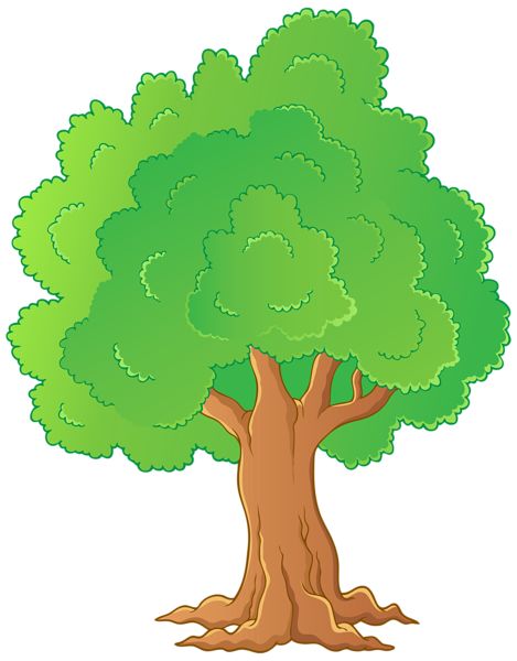 Family Tree Outline, Tree Animation, Tree Animated, Education Pictures, Tree Clip Art, Family Tree Printable, Trees For Kids, Tree Camping, Tree Outline