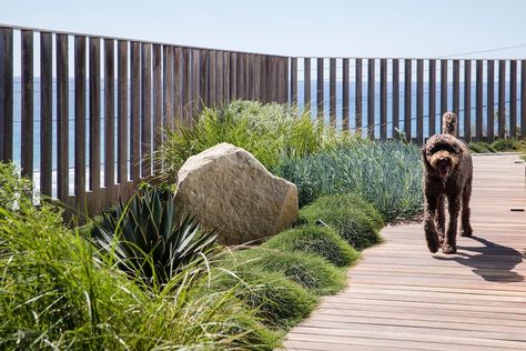 Coastal Landscaping Ideas Beach Gardens, Landscape Design Garden, Outdoor Landscape Design, Australian Garden Design, Contemporary Landscape Design, Coastal Landscaping, Australian Native Garden, Contemporary Garden Design, Juan Les Pins