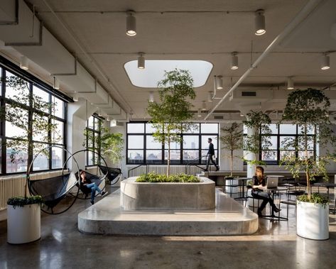 Tech Office, Cool Office Space, New York Office, City Office, Office Space Design, Office Lounge, Indoor Trees, Windows Vista, Cool Office