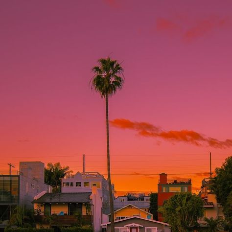 Ian Tampus | Los Angeles CA on Instagram: "LA's color palette 🌅  #california #californication #losangeles #losangelesphotographer #aesthetic #complex #westcoast #losangelescalifornia #visualgrams #aestheticedits #potd" Los Angeles Color Palette, La Colors, Los Angeles California, West Coast, Color Palette, Angeles, California, Angel, Collage