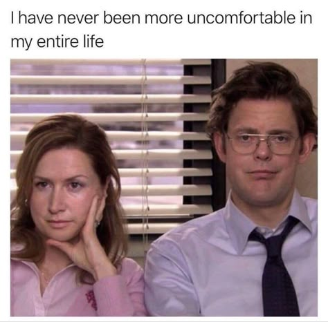 The Office Memes, Best Of The Office, Office Jokes, The Office Show, Funny Looking Cats, Worlds Best Boss, Office Memes, Office Quotes, Office Birthday