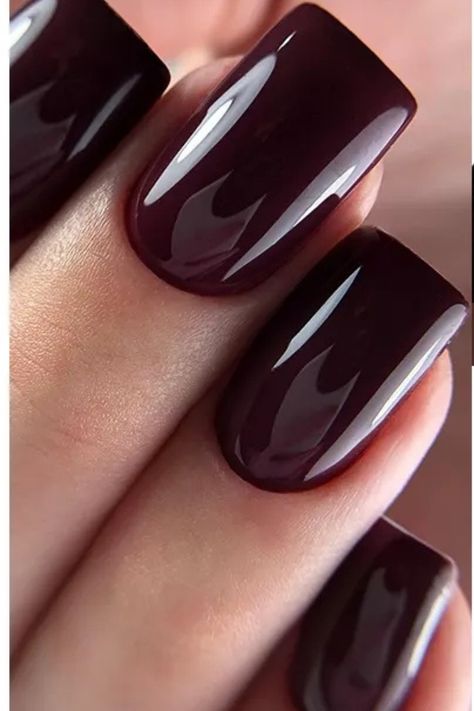 Nail polish Nail polish colors Ideas
best nail polish Eggplant Nail Color, Wine Nails Designs, Dark Plum Nails, Nails For Autumn, Autumn Nail Ideas, Dark Color Nails, Burgundy Nail Polish, Color Uva, Mint Green Nails