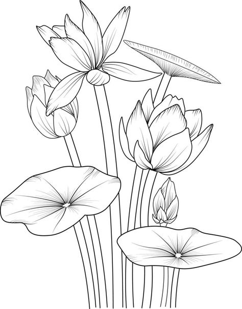 Flower Drawing For Kids, Waterlily Flower, Lotus Flower Drawing, Lotus Drawing, Outline Pictures, Printable Flower Coloring Pages, Tree Drawings Pencil, Lotus Painting, Natural Spring