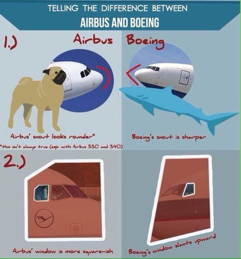 Dif. Boeing vs Airbus Airbus And Boeing, Airbus Vs Boeing, Airbus Vs Boeing Difference, Aircraft Maintenance Engineer, Pilot Career, Pilot Quotes, Private Pilot License, Aviation Education, Aviation Careers