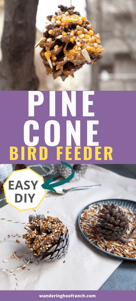 Make these quick, easy and fun pine cone bird feeders to hang for your feathered friends. Make this easy diy project with preschoolers and kids using peanut butter or without using our list of suggested subsitutions like corn syrup, crisco vegetable shortening or almond butter. You'll have fun making these fun pine cone bird feeders this fall or winter. Winter Homesteading, Bird Seed Ornaments Recipe, Bird Feeders For Kids To Make, Bird Study, Pine Cone Bird Feeder, Bird Suet, Vegetable Shortening, Bird Feeder Craft, Bird Seed Ornaments