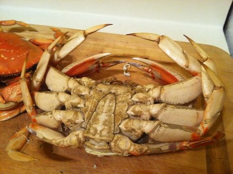 Cooking Dungeness Crab, Urban Hiking, Crab Boil, Dungeness Crab, Mango Salad, Clean Cooking, Crab Legs, Crab Meat, Crab Cakes