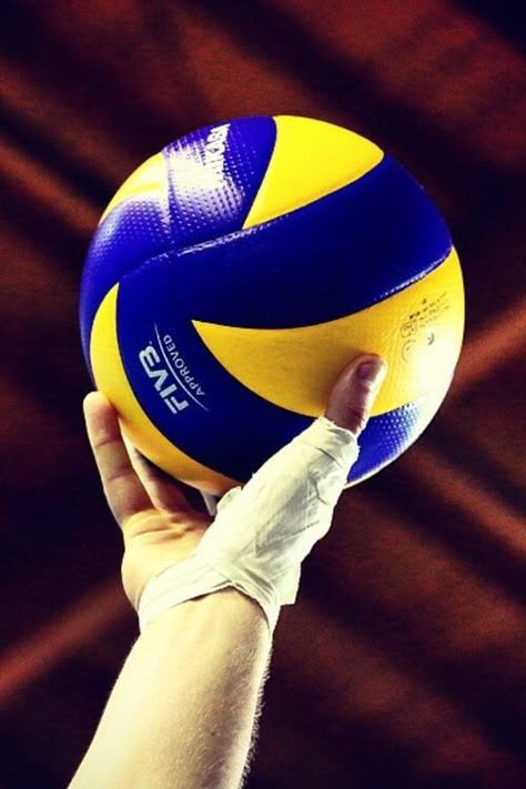 Volleyball Tumblr, New Love Pic, Volleyball Images, Olympic Fencing, Volleyball Backgrounds, Volleyball Posters, Volleyball Photography, Volleyball Wallpaper, Volleyball Photos