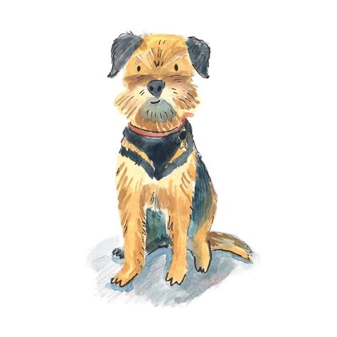 Lucy Pickett on Instagram: “My dog Hamish has been popping up in a few of my drawings recently, so I thought I would introduce him! He’s a 10 year old border terrier…” Border Terrier Illustration, Border Terrier Art, Old Dog Drawing, Border Terrier Drawing, Dog Illustration Art, Dog Sketch, Border Terrier, Christmas Present Ideas, Dog Illustration