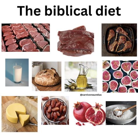 Biblical Food, Christian Diet, Biblical Diet, Bear Diet, Ancestral Nutrition, Meat Diet, Holistic Diet, Animal Based, Resep Diet