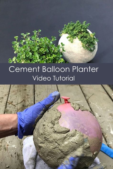 Diy Cement Planters, Diy Cement, Diy Concrete Planters, نباتات منزلية, Concrete Diy Projects, Cement Planters, Garden Types, Concrete Projects, Concrete Garden