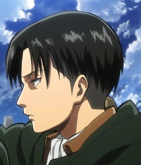 Levi Ackerman Haircut, Snap Clips Hairstyles, Levi Haircut, Wedding Hashtag Generator, Anime Haircut, Pelo Anime, Hairstyle Names, Snk Cosplay, Hair Color Streaks