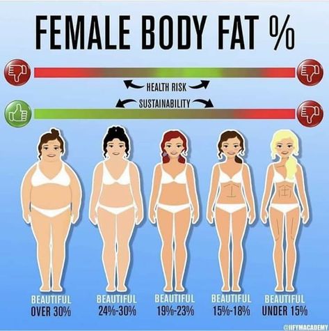 Body Fat Percentage Dips Exercise, Lucy Wyndham Read, Lunges Exercise, Triceps Dips, Lucy Wyndham, 12 Week Year, Liv Pure, Body Types Women, Perfect Diet