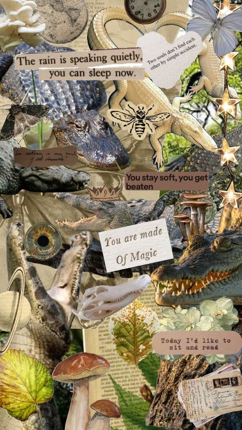 #crocodile #alligator #swampcore #natureaesthetic Alligator Wallpaper, Crocodiles, Nature Aesthetic, Alligator