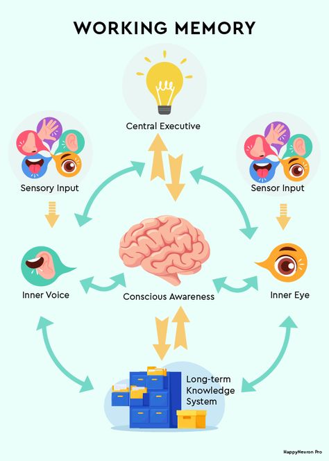 7 Working Memory Activities for Adults & Kids| Online & PDF Memory Worksheets For Adults, Memory Activities For Adults, Working Memory Worksheets, Working Memory Activities, Memory Worksheets, Meta Cognition, Worksheets For Adults, Memory Exercises, Memory Activities