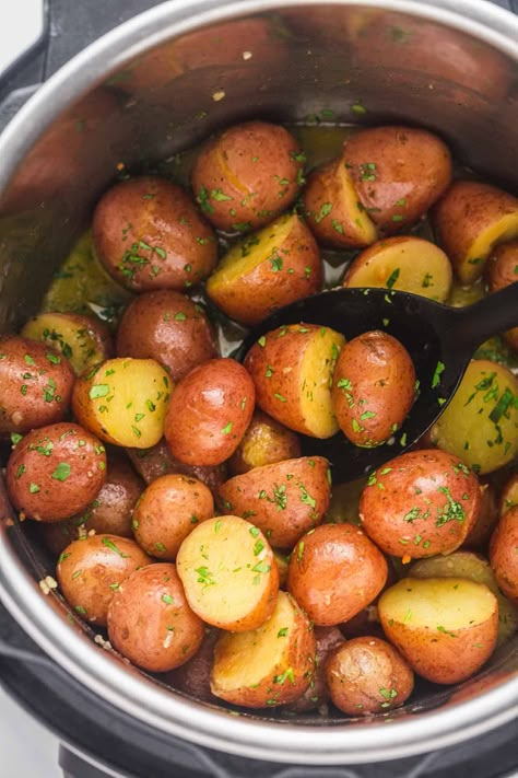 Red Potato Instant Pot Recipes, Instant Pot Petite Potatoes, Instant Pot Garlic Potatoes, Pressure Cooker Red Potatoes, Instant Pot Mashed Red Potatoes, Instant Pot Smashed Red Potatoes, Instapot Red Potato Recipes, Mini Potatoes Instant Pot, Instant Pot Small Potatoes Recipe