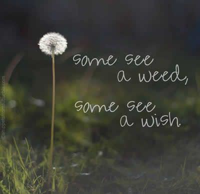 My parents used to always tell me they were just weeds, and not to blow them around cause more will grow....but to me it was a chance to make a wish. A Dandelion, Inspirational Quotes Pictures, E Card, Wonderful Words, Quotable Quotes, Encouragement Quotes, Say What, Inspirational Quotes Motivation, Cute Quotes