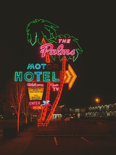 Portland, neon lights, neon sign, neon disease Giveaway Aesthetic, Dive Motel, I Am The Rich Man, Neon Cyberpunk Aesthetic, American Wasteland, Miami Neon, Dubai Penthouse, Neon Vaporwave, Resort Branding