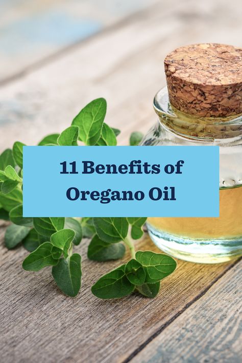 Health Benefits Of Oregano Oil, Benefits Of Oregano, Oregano Oil Benefits, Natural Grocers, Oregano Oil, Natural Antibiotics, Holistic Remedies, Bone Density, Healthy Smile