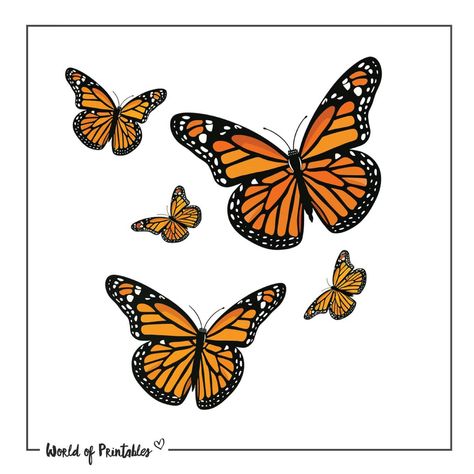 Monarch Butterfly Tattoo Designs - 45+ Printable Designs & Ideas - World of Printables Monarch Butterfly Tattoo Designs, Orange Butterfly Tattoo, Butterfly Tattoo Simple, Yellow Orange Butterfly, Monarch Tattoo, Monarch Butterfly Tattoo, World Of Printables, Small Butterfly Tattoo, Flying Together