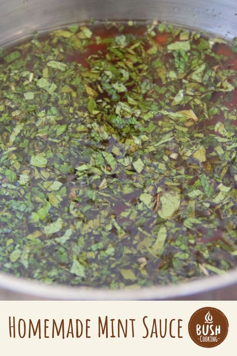 Try this Homemade Mint Sauce on lamb, chicken, or even roasted vegetables. Use a vinegar base and loads of fresh mint for a sauce that lasts year-round. #camping #grilling #mintsauce Homemade Mint Sauce For Lamb, Sauces For Lamb Roast, Homemade Mint Sauce, Mint Sauce Recipe For Lamb, Mint Sauce For Lamb, Mint Sauce Recipe, Roast Lamb, Homemade Sauce Recipes, Lamb Burgers