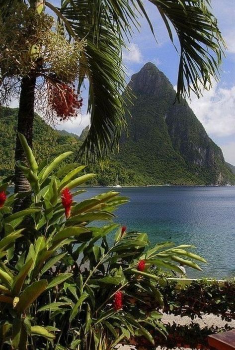 Magic Places, Travel Channel, Beautiful Places To Travel, St Lucia, Nature Aesthetic, Pretty Places, Nature Travel, Travel Aesthetic, Dream Vacations