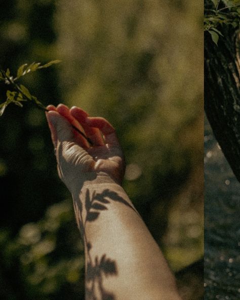 Visual poetry with my favorite poet @_oliviacameron_ 🌿🌙 This photoshoot feels so magical and ethereal in so many ways! Something straight out of a fairytale novel✨ Ready for a Tennessee summer with more of these moments! #nashvillephotographer #franklinphotographer #natureexplorer #portrait_vision #tennesseephotographer #fairytale #ethereal #portraitmood #nashvilleportraitphotographer #wander #explorenature Empress Aesthetic, Spotify Playlists Covers, Ethereal Portrait, Fairytale Ethereal, Trip Photoshoot, Tennessee Summer, Lorna Doone, Ethereal Photography, Meditation Photos