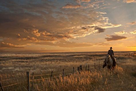 Western Artwork, Western Photography, Western Aesthetic, Cowboy Art, Horse Quotes, Ranch Life, Western Art, Beautiful Horses, Country Life