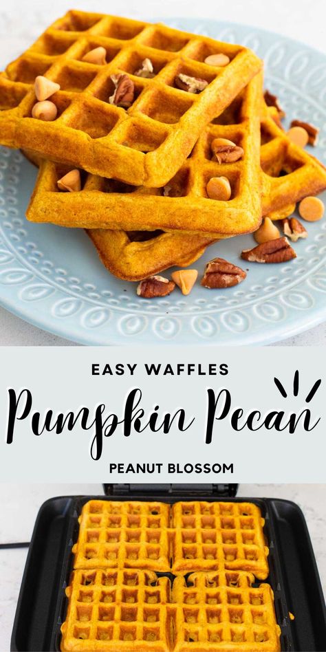 Pumpkin Pecan Waffles Pumpkin Pecan Waffles, Best Frozen Meals, Pecan Waffles, Peanut Gallery, Waffle Maker Recipes, How To Make Waffles, Waffles Easy, Frozen Waffles, Family Brunch