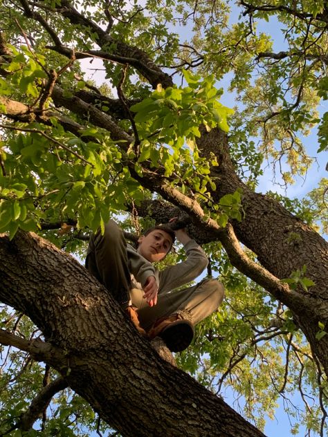 Hanging From Tree Pose, Woods Reference Photo, Person In Tree Reference, Sitting In A Tree Aesthetic, Sitting On Tree Pose, Sitting In Tree Pose Reference, Hanging From Tree Pose Reference, Climbing Tree Pose, Forest Reference Photo