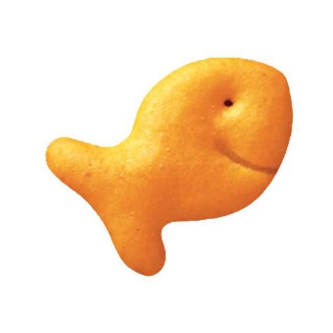 Pepperidge Farm recalls 4 types of Goldfish crackers over salmonella risk – WPIX 11 New York Goldfish Snack Drawing, Types Of Goldfish, Womb Tattoo, Goldfish Snack, Fish Nuggets, Goldfish Types, Goldfish Food, Fish Snacks, Fish Crackers