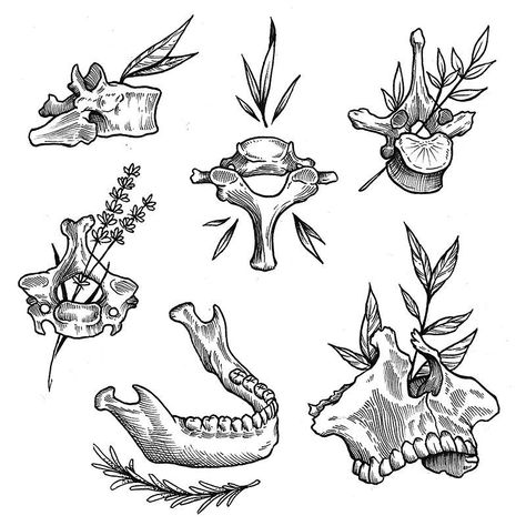 get boned! 💀🌿 $100 vertebrae, $125 jaw pieces . #teamgoldeniron #torontotattoo #tattooflash #flashsheet #qttr #tattoodesign #tattooart… Darkside Tattoo, Bone Drawing, Anatomy Tattoo, Bone Tattoos, Tattoo Portfolio, Tattoo Flash Art, Flash Art, Simplistic Tattoos, Anatomy Art