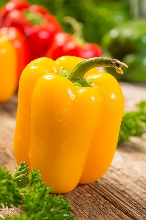 Tips for growing bell peppers in your home garden. Everything you need to plant, take care of and harvest bell peppers from your backyard vegetable garden. #gardening #growingpeppers #homesteadacres Pepper Steak Recipes, Growing Green Peppers, Recipes Peppers, Healthy Pepper Steak Recipe, Grow Bell Peppers, Peppered Steak, Survival Projects, Bell Pepper Plant, Growing Bell Peppers