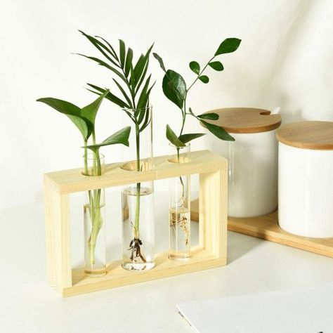 26 Ideas for Gifts for Plant Lovers – Green With Purpose Terrarium Table, Vase Transparent, Brown Vase, Hydroponic Plants, Wood Rack, Planter Table, Glass Flower Vases, Glass Planter, Wood Vase